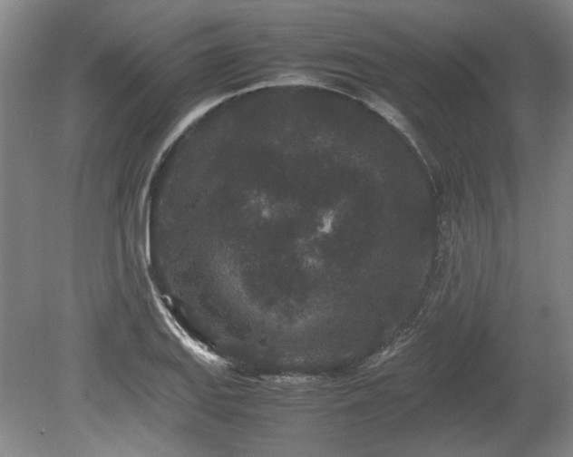 X0000078861127200611201306