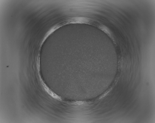 X0000078861130200611201306