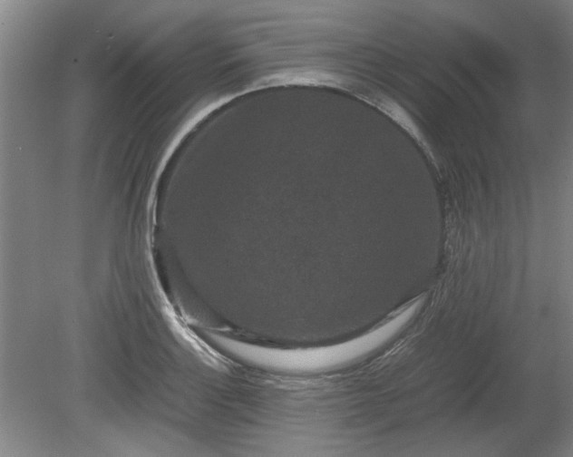 X0000078861132200611201306