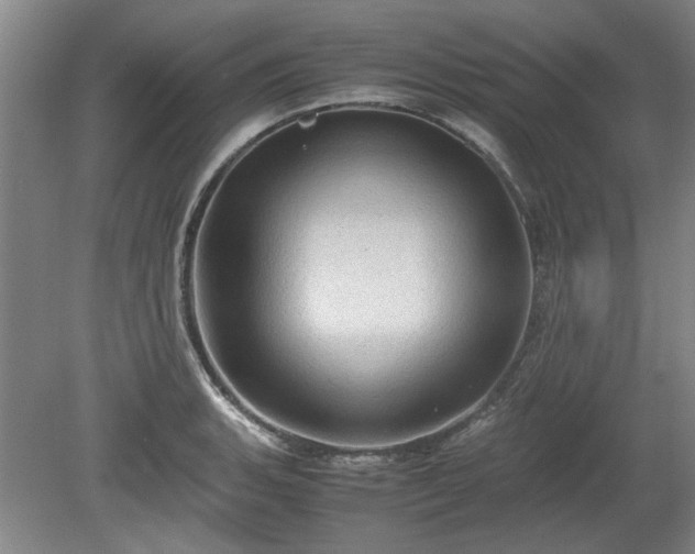 X0000078861135200611201306