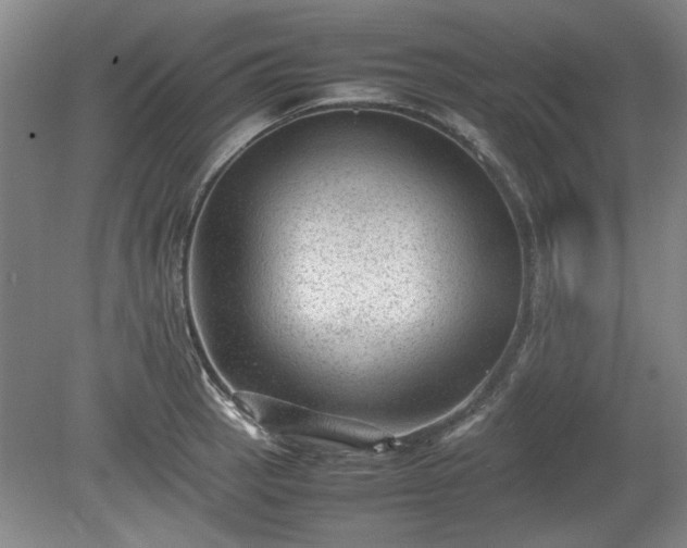 X0000078861137200611201306