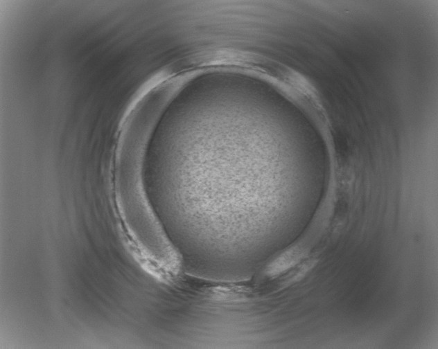 X0000078861138200611201306