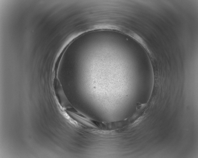 X0000078861140200611201306