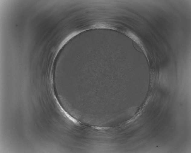 X0000078861141200611201306