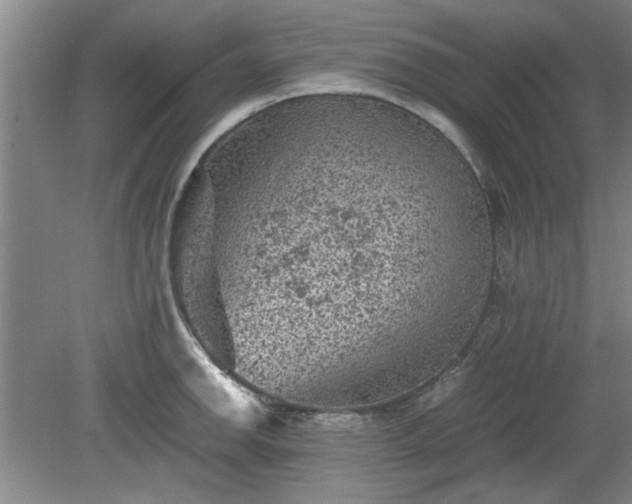 X0000078861142200611201306