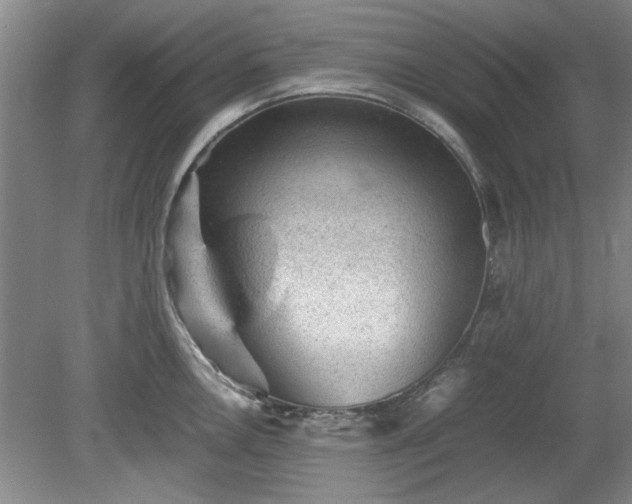 X0000078861146200611201307