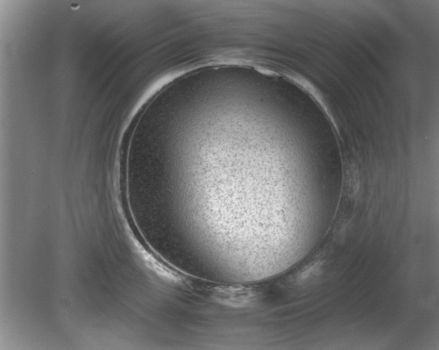 X0000078861147200611201307