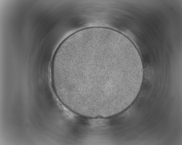 X0000078861150200611201307