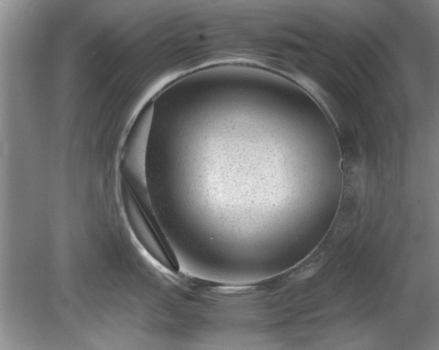 X0000078861151200611201307