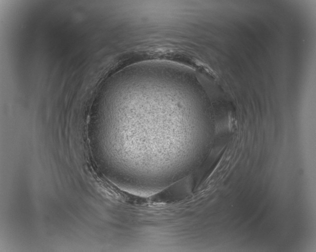 X0000078861153200611201306