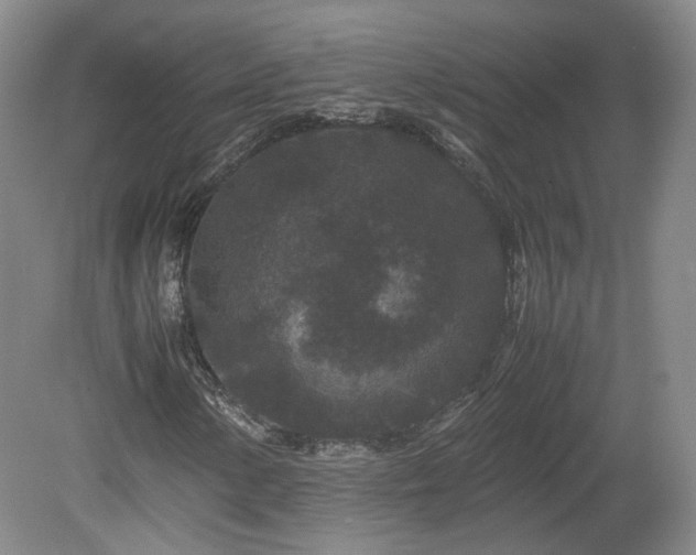 X0000078861154200611201306