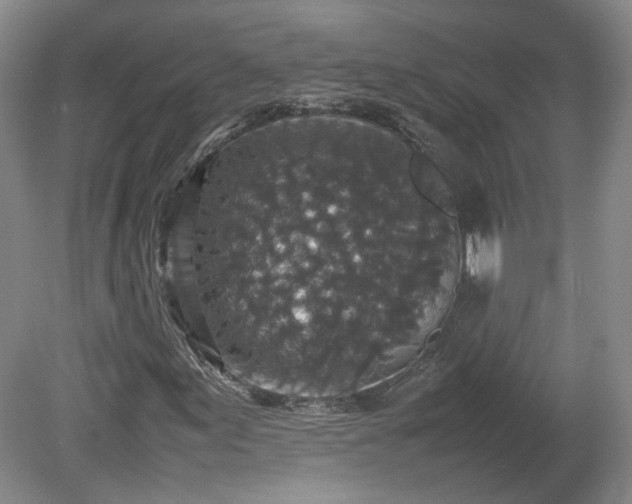 X0000078861155200611201306