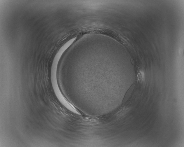 X0000078861156200611201306