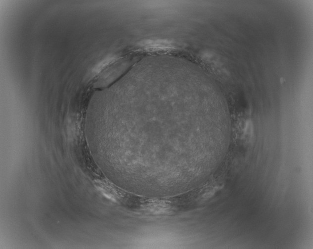 X0000078861157200611201306