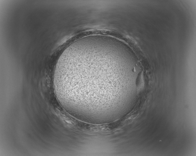 X0000078861159200611201306