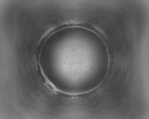 X0000078861160200611201306