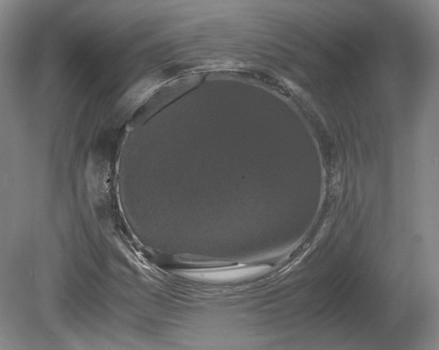 X0000078861161200611201306