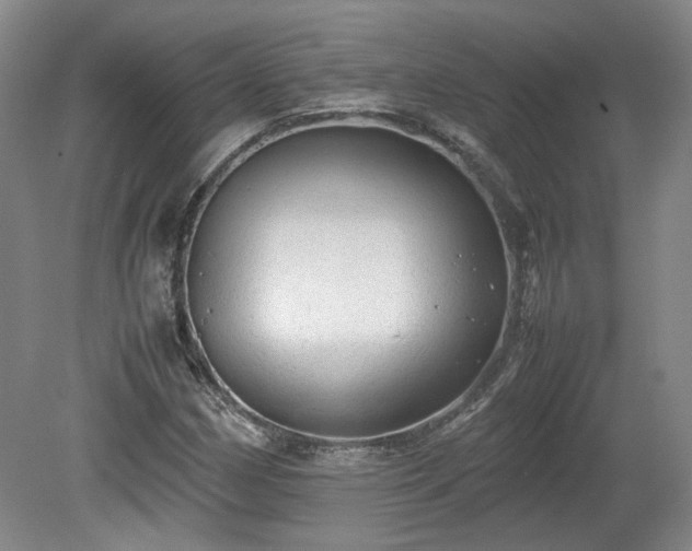 X0000078861162200611201306