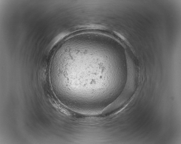 X0000078861163200611201306