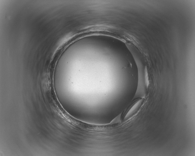 X0000078861164200611201306