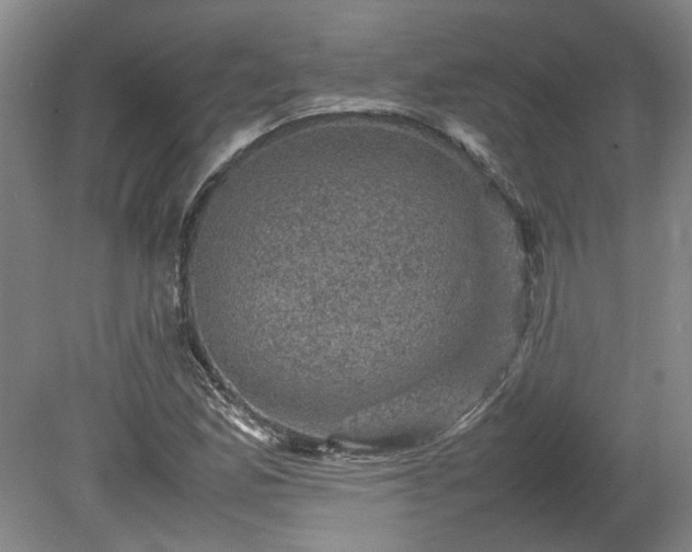 X0000078861165200611201306