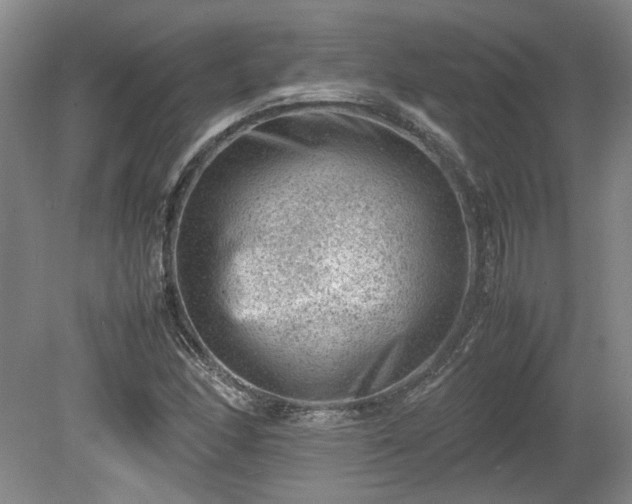 X0000078861166200611201306