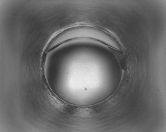 X0000078861168200611201306