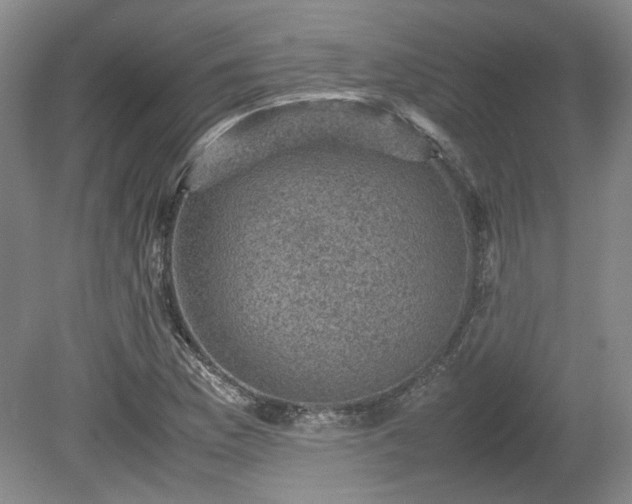 X0000078861169200611201306