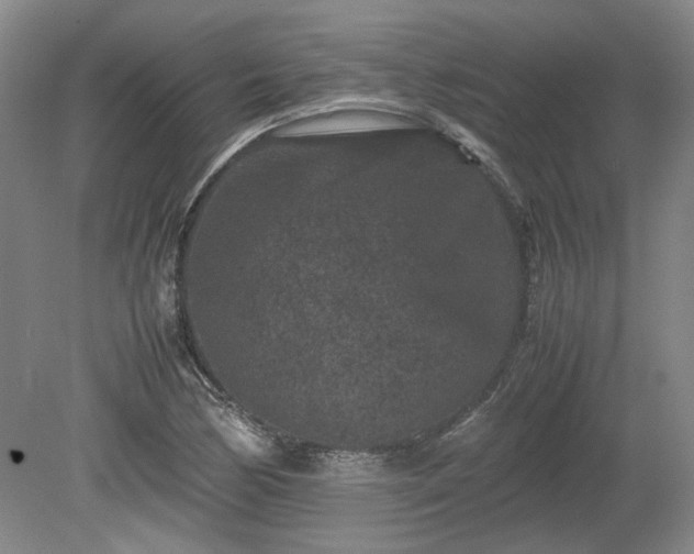 X0000078861170200611201306