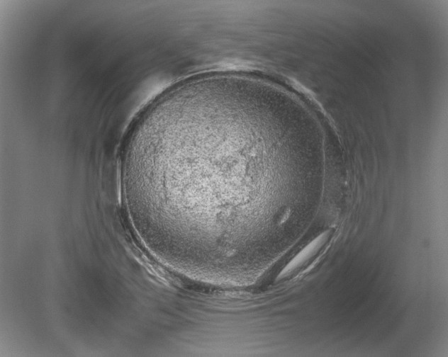 X0000078861171200611201306