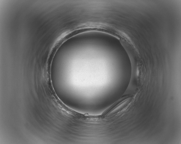 X0000078861172200611201306