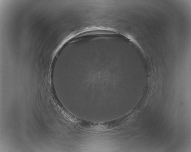 X0000078861173200611201306