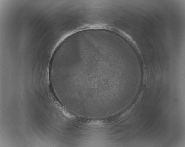 X0000078861174200611201306