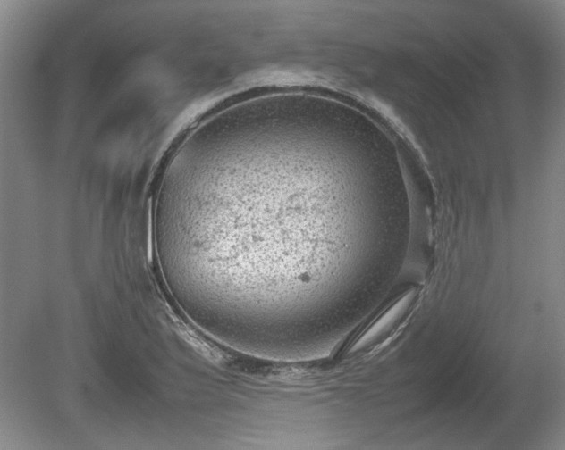 X0000078861175200611201305