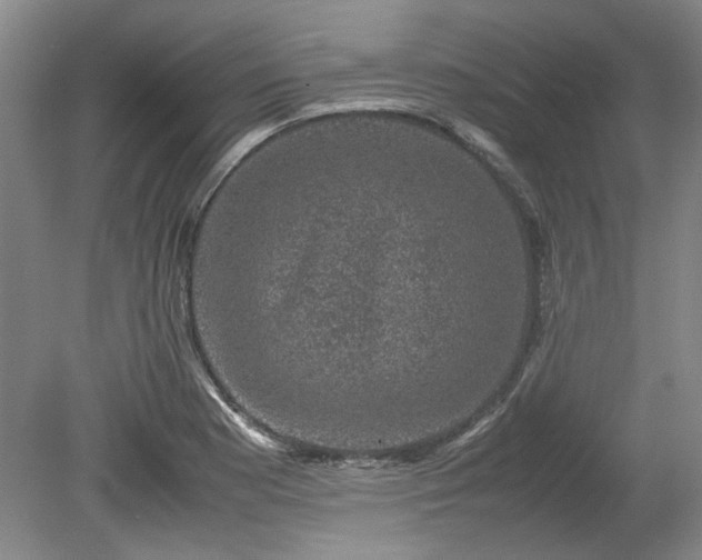 X0000078861177200611201305