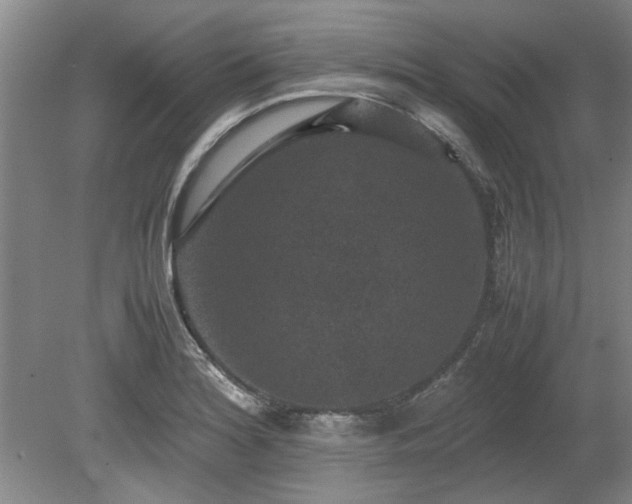 X0000078861180200611201305