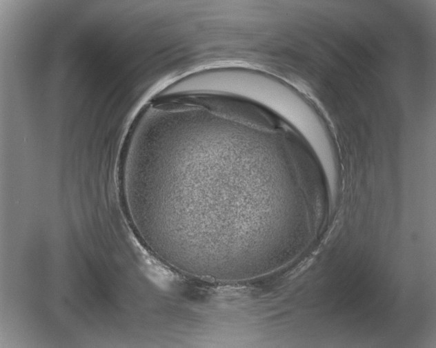 X0000078861181200611201305