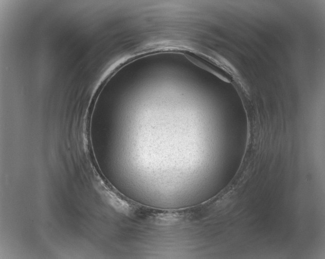 X0000078861182200611201305