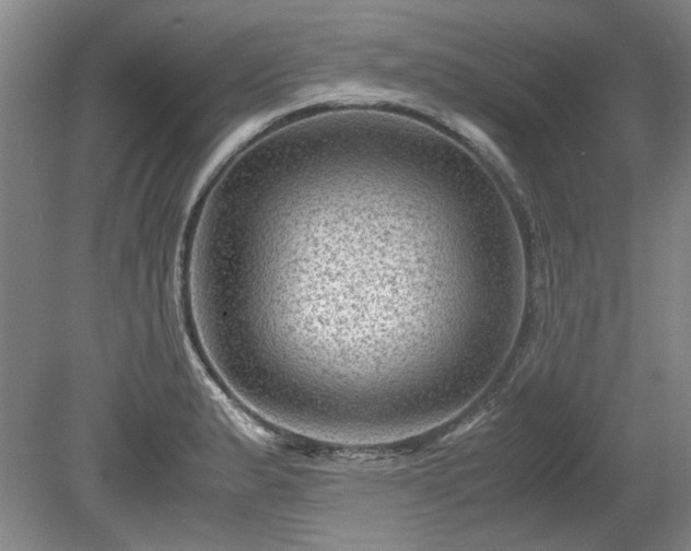 X0000078861183200611201305