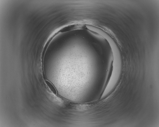 X0000078861184200611201305