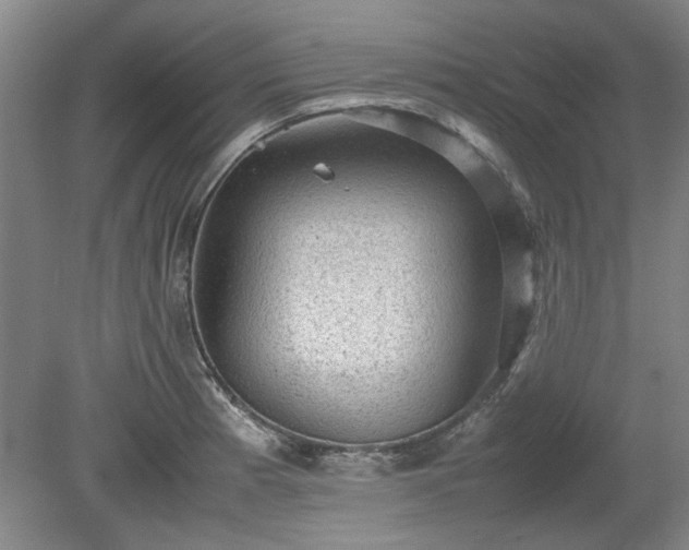 X0000078861185200611201305