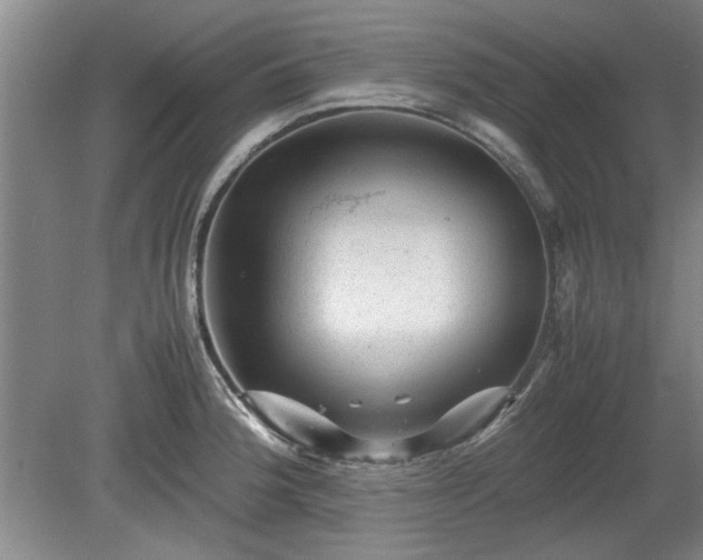 X0000078861188200611201305