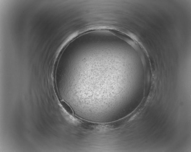 X0000078861189200611201305