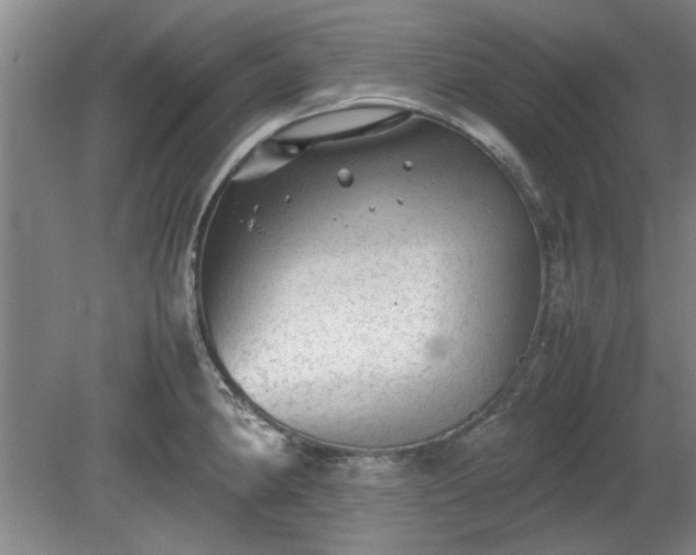 X0000078861190200611201305