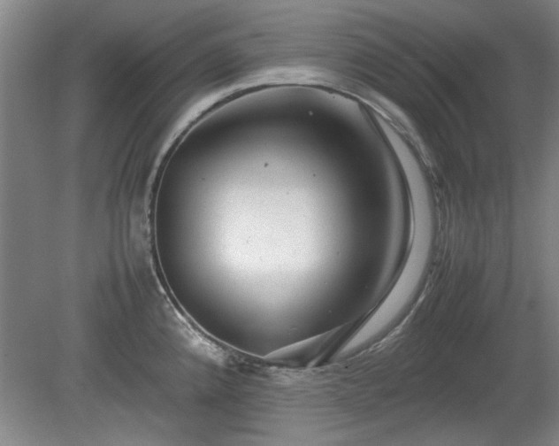 X0000078861192200611201305