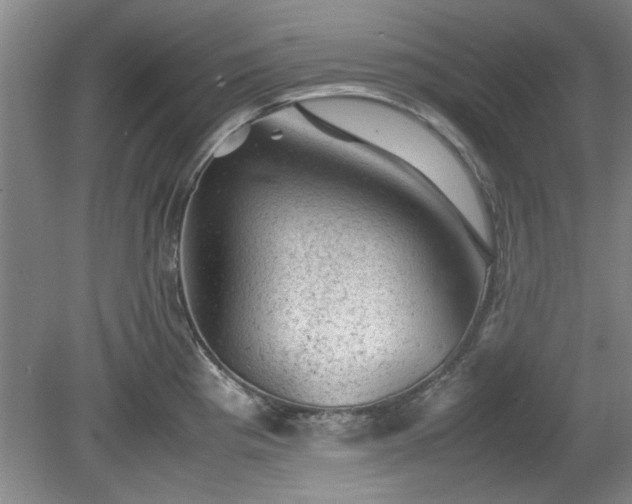 X0000078861193200611201305