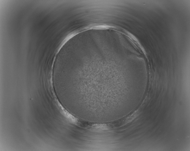 X0000078861194200611201305