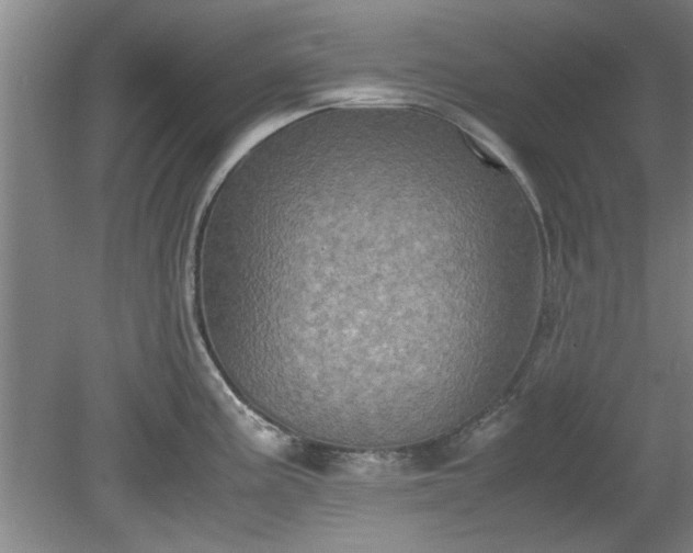 X0000078861195200611201305