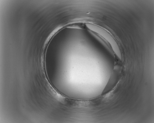 X0000078861196200611201305