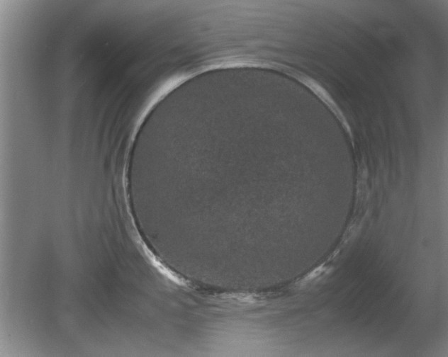 X0000078861197200611201305